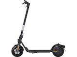 F2 D E-Scooter (10 Zoll, Black) im MediaMarkt Saturn Prospekt F2 D E-Scooter (10 Zoll, Black) von NINEBOT im aktuellen MediaMarkt Saturn Prospekt für 399,00 €