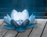 Solar-Dekolicht Angebote bei toom Baumarkt Hemer für 12,99 €