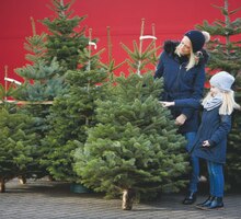 Fair Trees ®-Nordmanntanne bei toom Baumarkt in Pulheim Fair Trees ®-Nordmanntanne im Angebot bei toom Baumarkt Pulheim