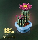 Le cactus fleuri - LEGO BOTANICALS - Intermarché Hyper à Limoges Le cactus fleuri - LEGO BOTANICALS en promo chez Intermarché Hyper Limoges à 18,90 €