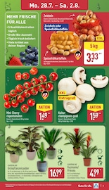Champignons im ALDI Nord Prospekt in Recklinghausen Aktueller ALDI Nord Prospekt mit Champignons, "Aktuelle Angebote", Seite 3