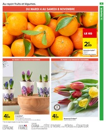 Prix et réduction Tulipes dans le prospectus Carrefour Market en cours Offre Tulipes dans le catalogue Carrefour Market du moment à la page 11