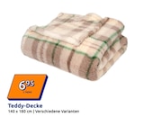 Action Meißen - Teddy-Decke Angebot im Prospekt Teddy-Decke bei Action im Meißen Prospekt für 6,95 €