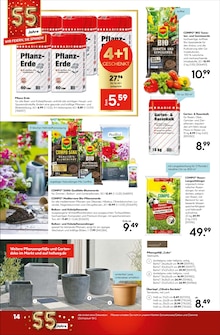 Blumentopf im Hellweg Prospekt "Immer im besten Licht" mit 20 Seiten (Essen)