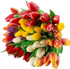 Aktuelles Tulpen Angebot bei Penny-Markt in Darmstadt ab 2,19 €