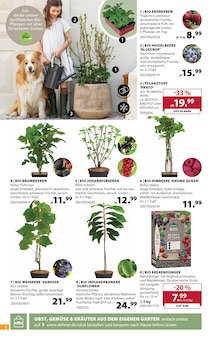 Dehner Garten-Center Prospekt der KW 15 "Aktuelle Angebote" Aktueller Dehner Garten-Center Prospekt "Aktuelle Angebote" Seite 2 von 18 Seiten