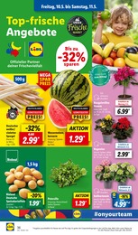 Wassermelone Angebot im aktuellen Lidl Prospekt auf Seite 44