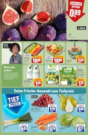 Ähnliche Angebote wie Spargel im Prospekt "Dein Markt" auf Seite 10 von REWE in Bonn
