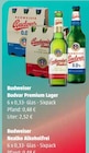 Budvar Premium Lager im Angebot bei Getränke Ellerkamp in Osnabrück Budvar Premium Lager Angebote von Budweiser bei Getränke Ellerkamp Osnabrück für 2,52 €