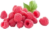 Aktuelle Obst Angebote bei REWE in Frankfurt (Main) Aktuelles Himbeeren Angebot bei REWE in Frankfurt (Main) ab 3,79 €
