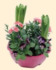 Promo Composition 5 plantes coupe 23 cm à 13,99 € dans le catalogue Intermarché à Gignac