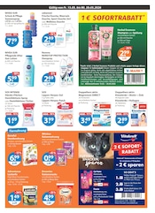 Aktueller V-Markt Prospekt mit Shampoo, "V-Markt einfach besser einkaufen", Seite 13