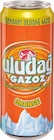Gazoz von Uludag im aktuellen Netto Marken-Discount Prospekt