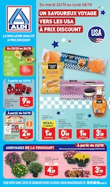 Catalogue Discount Alimentaire Aldi en cours à Raismes et alentours, "UN SAVOUREUX VOYAGE VERS LES USA À PRIX DISCOUNT", 27 pages, 22/10/2024 - 28/10/2024