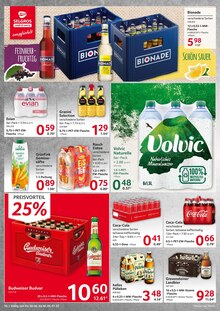 Coca Cola im Selgros Prospekt cash & carry auf S. 15