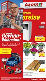 toom Baumarkt Pflanzen im Prospekt 