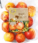 Aktuelles Jonagold Angebot bei Netto mit dem Scottie in Potsdam ab 2,49 €