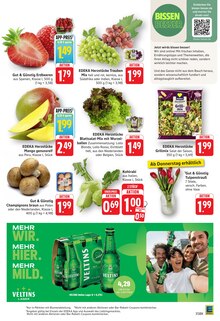 Bier im E center Prospekt "Aktuelle Angebote" mit 20 Seiten (Landau (Pfalz))