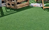 Rasenteppich Meadow bei Globus-Baumarkt im Weischlitz Prospekt für 2,19 €