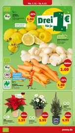 Aktueller Penny Prospekt mit Stauden, "Wer günstig will, muss Penny.", Seite 5