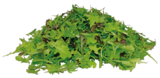 BIO CRISPY SALATMIX im Angebot bei REWE in Bergheim BIO CRISPY SALATMIX Angebote bei REWE Bergheim für 0,99 €