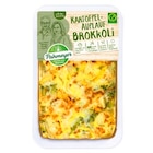 Kartoffelauflauf Brokkoli im Angebot bei REWE in Bottrop Kartoffelauflauf Brokkoli Angebote von Pahmeyer bei REWE Bottrop für 2,29 €