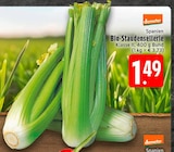 Aktuelle Sellerie Angebote bei E center in Bielefeld Aktuelles Bio-Staudensellerie Angebot bei E center in Bielefeld ab 1,49 €