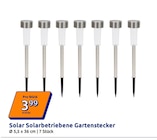 Solar Solarbetriebene Gartenstecker Angebote bei Action Frankfurt für 3,99 €