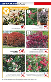 Promo Photinia dans le catalogue Hyper U du moment à la page 26