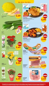 Radeberger im Penny Prospekt "Wer günstig will, muss Penny." mit 36 Seiten (Magdeburg)