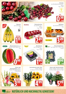 Marktkauf Prospekt der aktuellen Woche, gĂĽltig von 20.07.2026 bis 25.07.2026 Aktueller Marktkauf Prospekt "Top Angebote" mit 36 Seiten