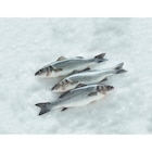 Promo Bar à 8,99 € dans le catalogue Carrefour à Libourne