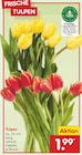 Tulpen im Angebot bei Netto Marken-Discount in Pinneberg Tulpen Angebote bei Netto Marken-Discount Pinneberg für 1,99 €