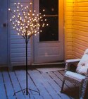 LED Baum im Marktkauf Prospekt LED Baum  im aktuellen Marktkauf Prospekt für 19,99 €
