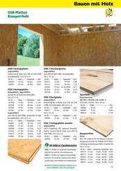 OSB Angebote im Prospekt "Holz- & Baukatalog 2023/24" von Holz Possling auf Seite 57
