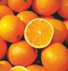 Promo Oranges ”Lane Late” ou ”Valencia Late” à 1,74 € dans le catalogue Norma à Belfort
