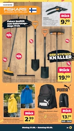 Regenjacke im Netto mit dem Scottie Prospekt in Potsdam Aktueller Netto mit dem Scottie Prospekt mit Regenjacke, "Günstig. Besser. Für Dich.", Seite 27