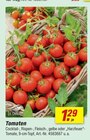 Tomaten bei toom Baumarkt im Taunusstein Prospekt für 1,29 €