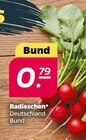 Radieschen im aktuellen Netto mit dem Scottie Prospekt