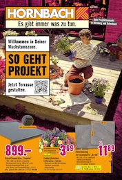 Hornbach Prospekt für Wendelstein: "Willkommen in Deiner Wachstumszone.", 30 Seiten, 10.04.2024 - 08.05.2024