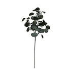 B&M Mondeville - Promo Tige eucalyptus givre Promo Tige eucalyptus givre à 2,49 € dans le catalogue B&M à Mondeville
