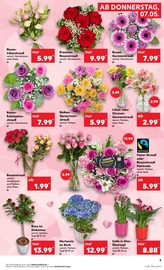 Aktueller Kaufland Prospekt mit Hortensie, "KNÜLLER", Seite 8