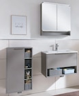 Aktuelle Bad-Spiegelschrank Angebote bei toom Baumarkt in Berlin Aktuelles Waschtischunterschrank mit Mineralgussbecken Angebot bei toom Baumarkt in Berlin ab 271,99 €
