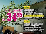 Kirschlorbeer oder Koniferen- und Heckendünger „BIORGA“ von FloraSelf für 9,99 € bei Hornbach im Angebot Kirschlorbeer oder Koniferen- und Heckendünger „BIORGA“ von FloraSelf im aktuellen Hornbach Prospekt