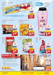 Shampoo im Netto Marken-Discount Prospekt in Filderstadt Aktueller Netto Marken-Discount Prospekt mit Shampoo, "Aktuelle Angebote", Seite 9