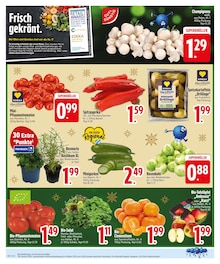 Rucola im aktuellen EDEKA Prospekt (München) Rucola im EDEKA Prospekt "IM EINSATZ FÜR FRISCHE & VIELFALT." mit 30 Seiten (München)