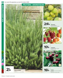 Offre Framboisier dans le catalogue Carrefour du moment à la page 12