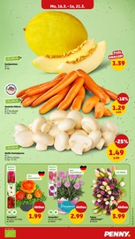 Aktueller Penny Prospekt mit Champignons, "Wer günstig will, muss Penny.", Seite 3