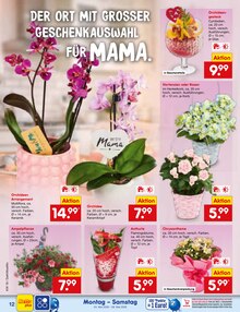 Pflanzen im Netto Marken-Discount Prospekt "Aktuelle Angebote" mit 75 Seiten (Nürnberg)