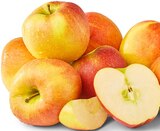 Deutsche rote Äpfel  im aktuellen Penny Prospekt für 1,49 €